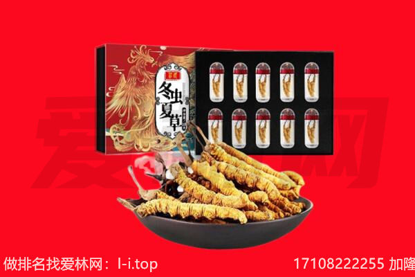 河池市回收虫草.jpg
